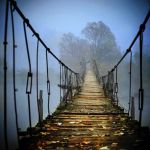 Модный гороскоп 20 – 26 ноября фото1