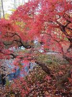 Модный гороскоп 9 – 15 октября фото2