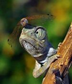 Модный гороскоп 4 – 10 сентября фото2