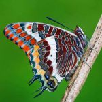 Модный гороскоп 27 августа – 2 сентября фото1