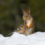 Модный гороскоп 15 – 21 января фото2