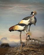 Модный гороскоп 30 апреля – 6 мая фото1