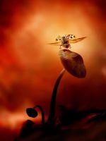 Колготки мен леггинстердегі жетілген әйелдердің фотосуреттері