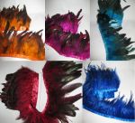 feathers for a dress with rhinestones and feathers photo
